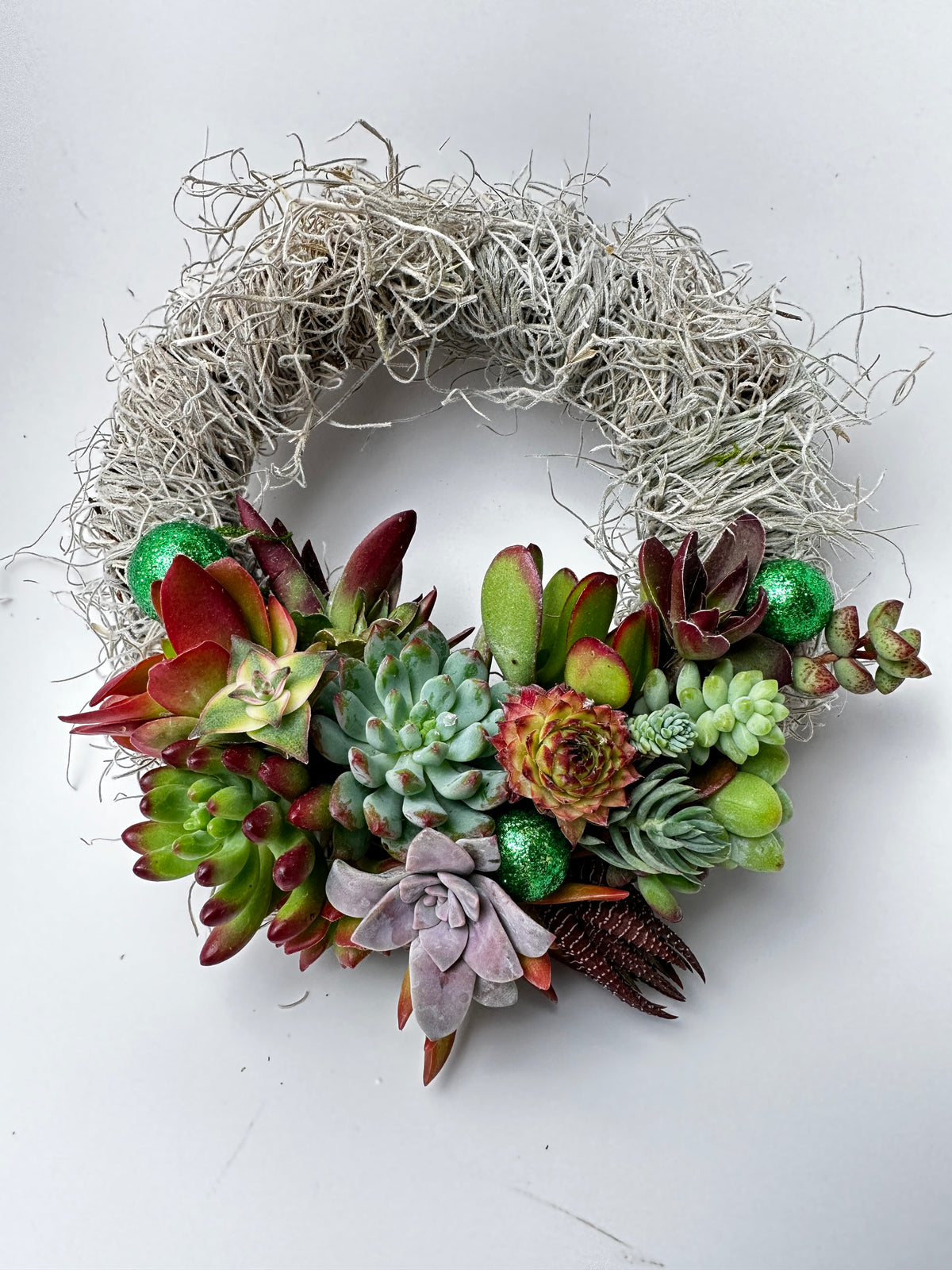 succulent wreath san diego Succulent Wreath