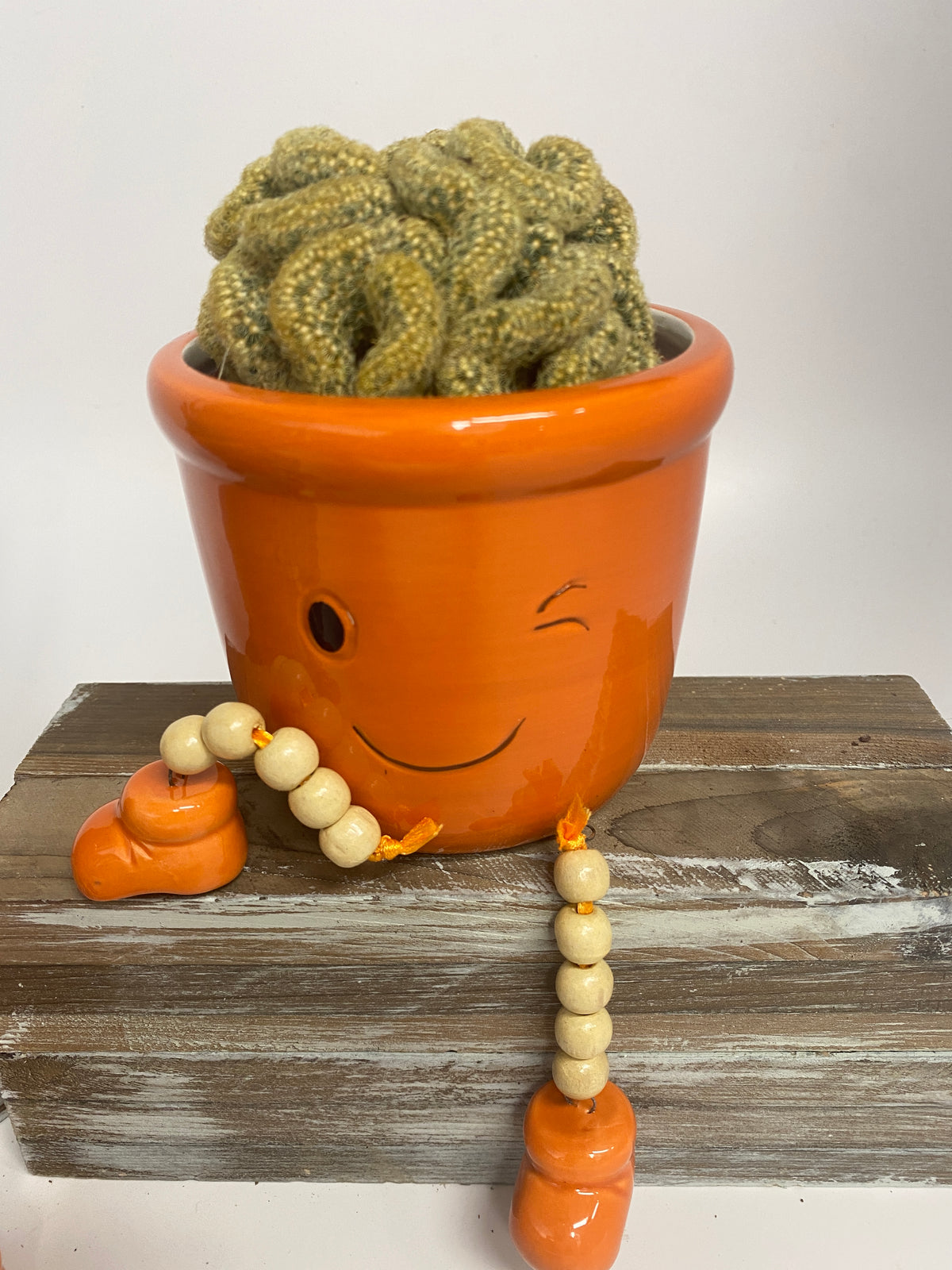 funny plant pot ideas Hello my funny face pot