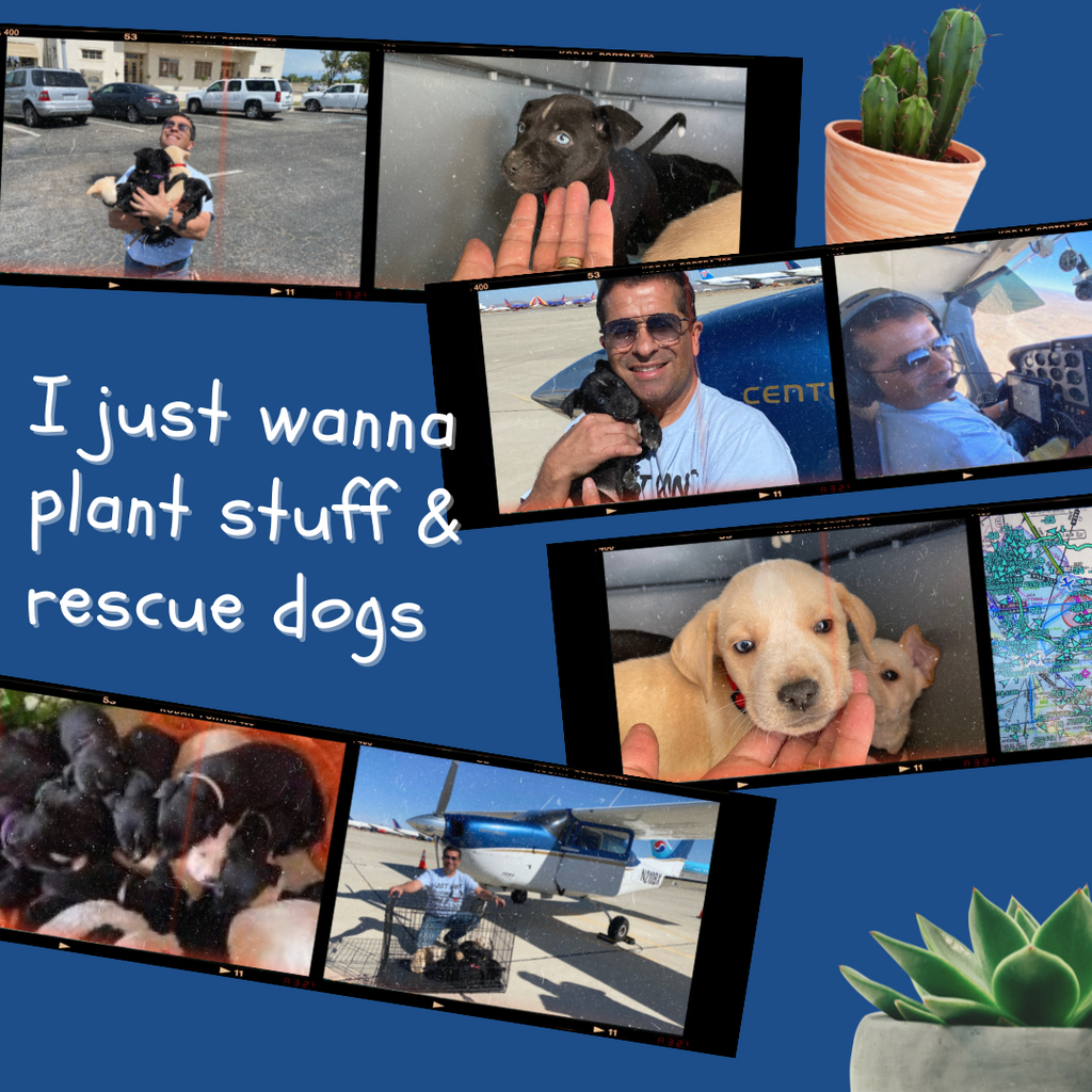 Plants With A Purpose - Rescuing a Litter of Gremlins (Furballs Saved To Date: 35)