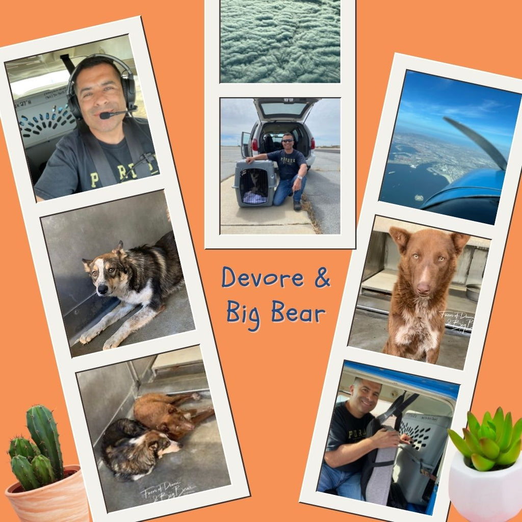 Plants With A Purpose - Rescuing Siblings Devore and Big Bear (Furballs Saved To Date: 37)