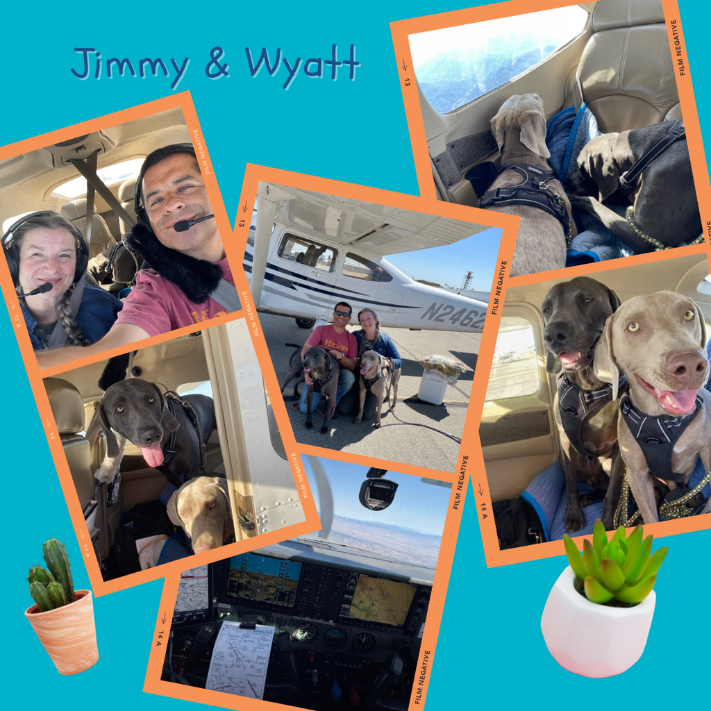 Plants With A Purpose - Rescuing Jimmy & Wyatt (Furballs Saved To Date: 39)