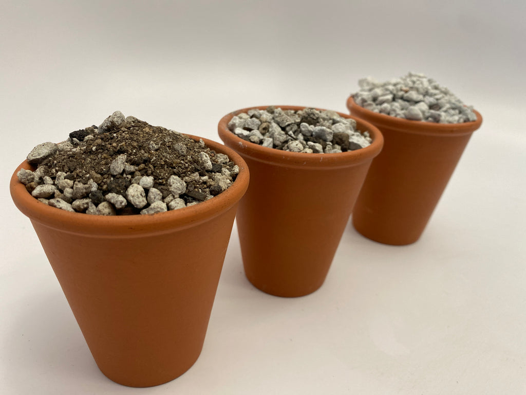 Cactus soil, pumice