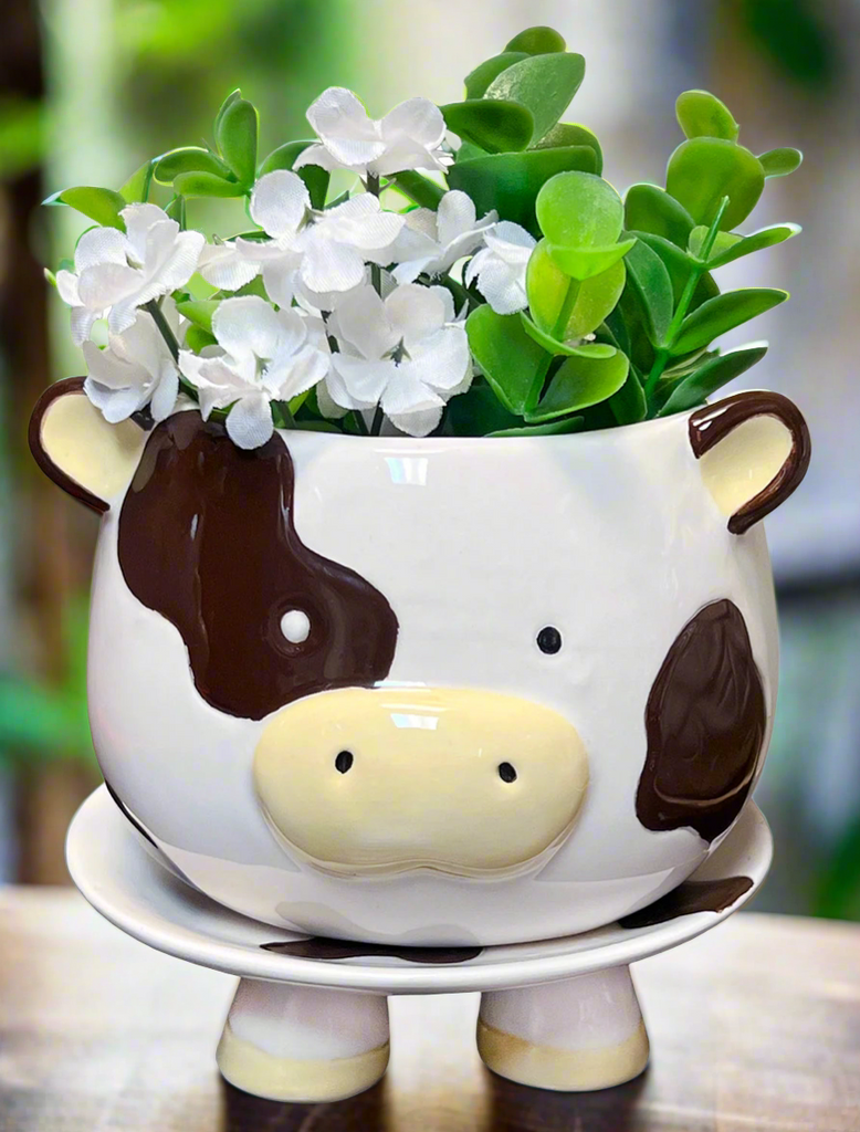 Cow footsie planter