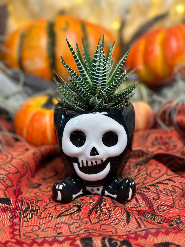 Mr. Bones Planter