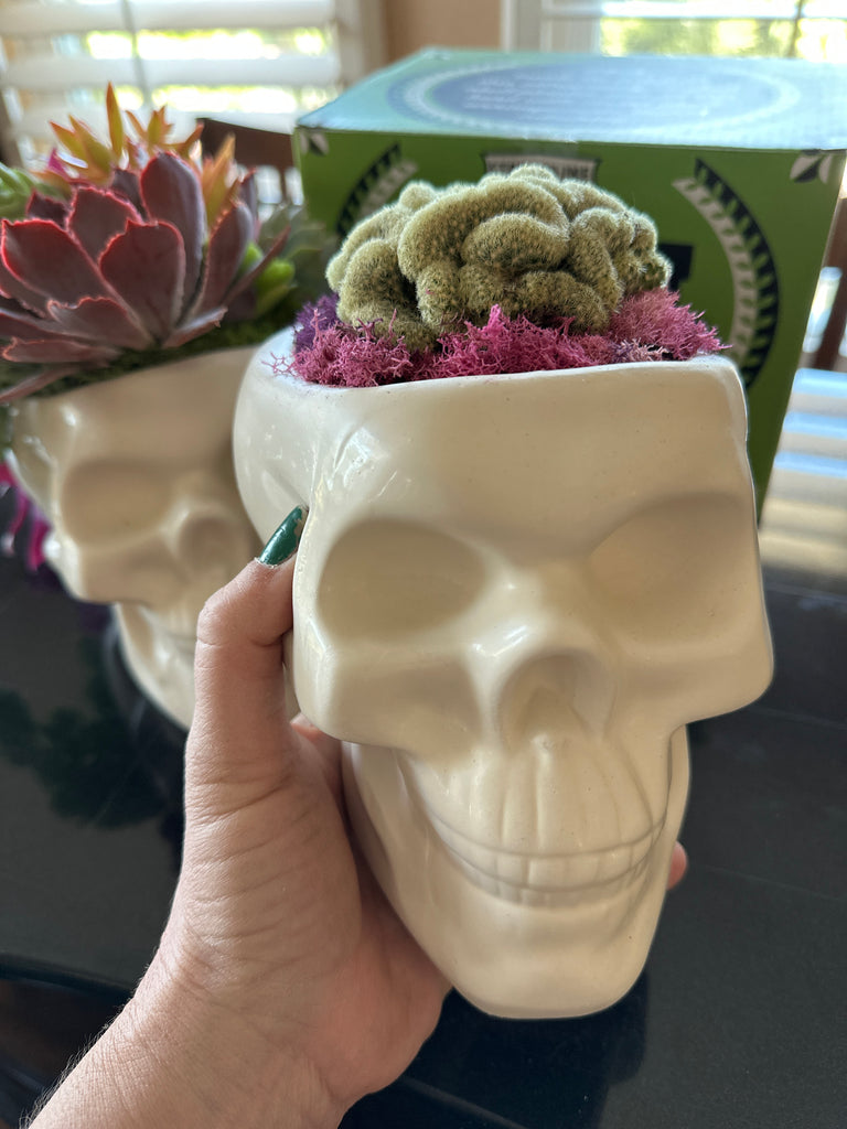 Skull planter