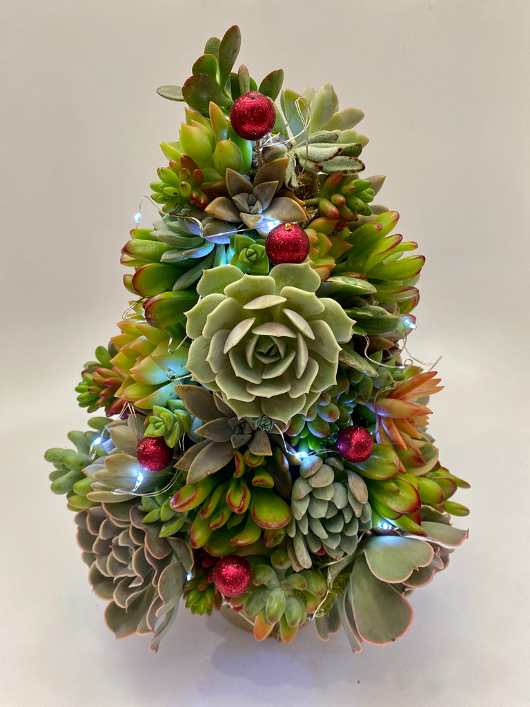 artificial succulent christmas tree Succulent Christmas Tree Kit