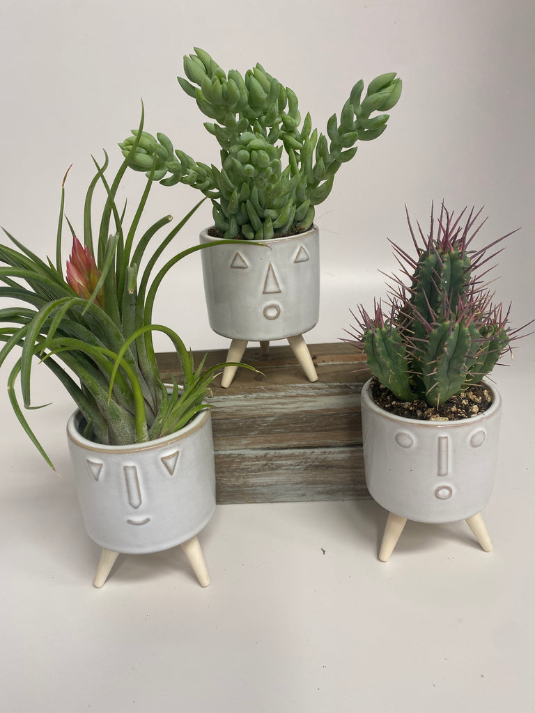 plant pots with legs Geometric face pots