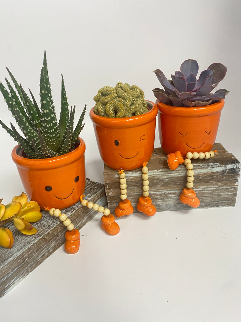 funny plant pot ideas Hello my funny face pot