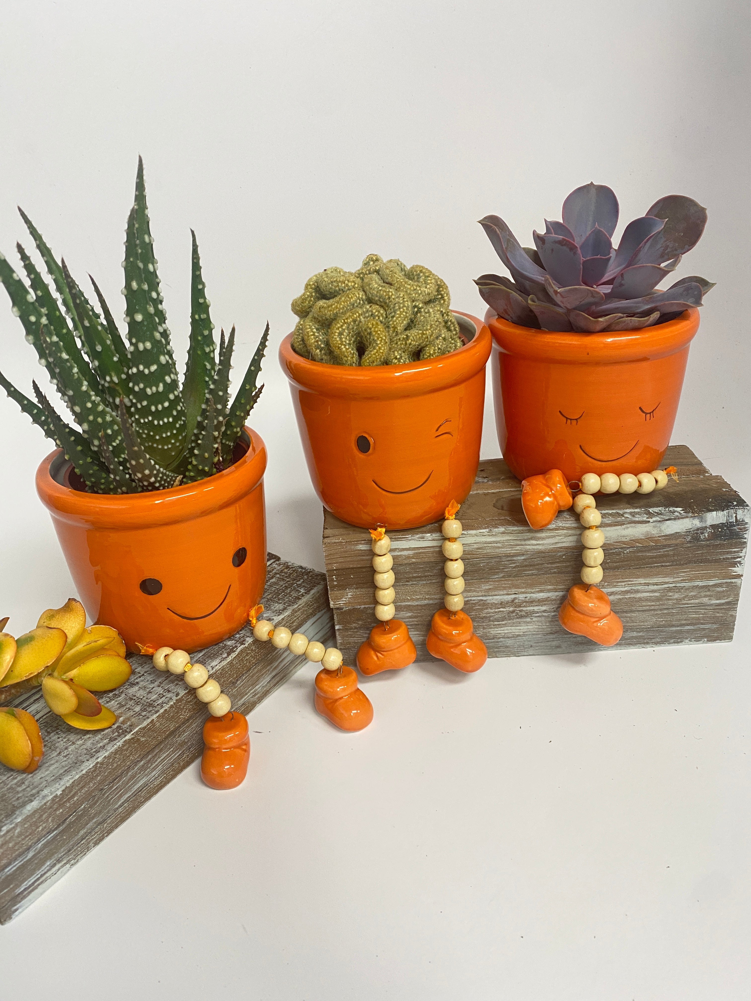funny plant pots Hello my funny face pot