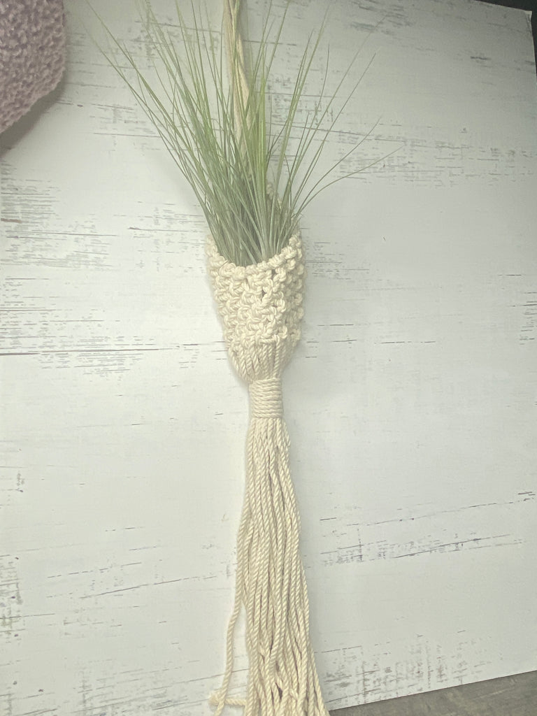 air plant macrame Macrame Air Plant holder