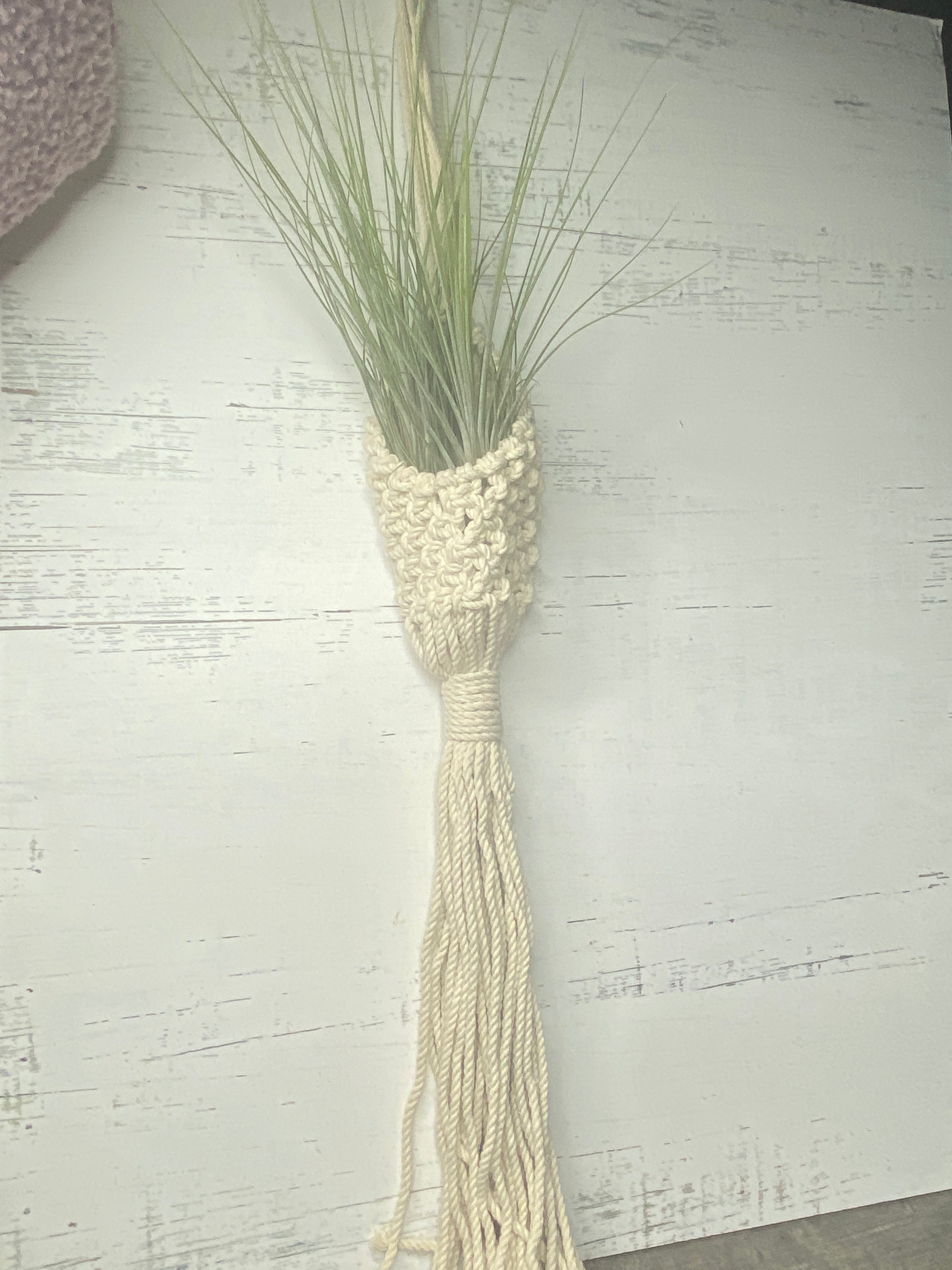 macrame small plant hanger Macrame Air Plant holder