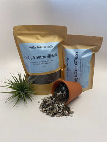 succulent plant packaging Cactus & Succulent Blend